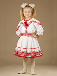 Вишитий костюм ЖК 37-17