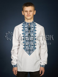 Вишиванка С 25-4