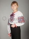 Вишита блуза ЖБВ 19-2