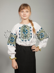 Вишита блуза ЖБВ 19-3
