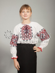 Вишита блуза ЖБВ 19-4