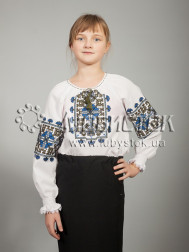 Вишита блуза ЖБВ 19-6
