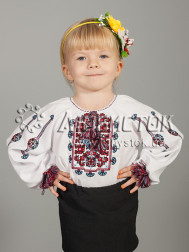 Вишита блуза ЖБВ 20-2