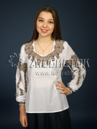 Вишиванка-блуза ЖБВ 3-4