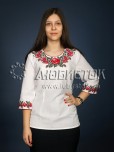Вишиванка-блуза ЖБВ 6-6
