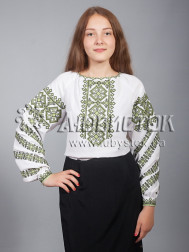 Вишиванка-блуза ЖБВ 9-3