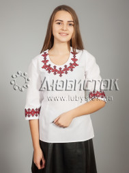 Вишиванка-блуза ЖБВ 21-1