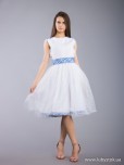 Вишита сукня D-067-01