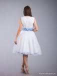 Вишита сукня D-067-01