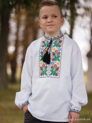 Вишиванка для хлопчика S-097-01-d